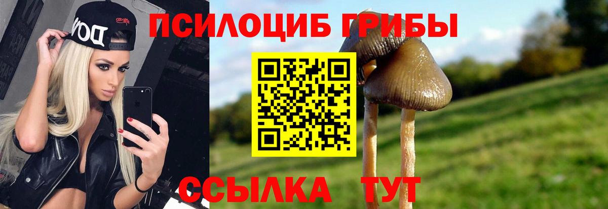 Нижнекамск  Псилоцибиновые грибы Cubensis  Вход с VPN 